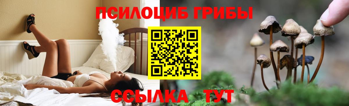 Череповец  Галлюциногенные грибы мухоморы  Вход с VPN 
